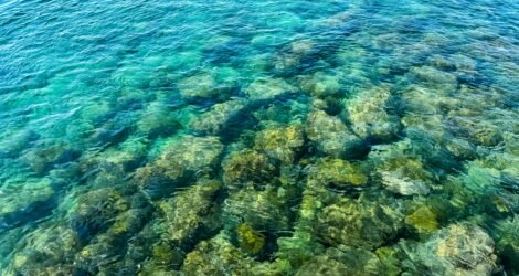 Plongée sous-marine en eau turquoise à Porticcio