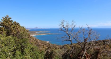 Top 5 des randonnées panoramiques près d’Ajaccio