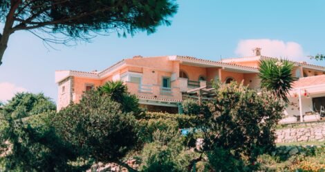 Les meilleurs vins corses à déguster à la villa